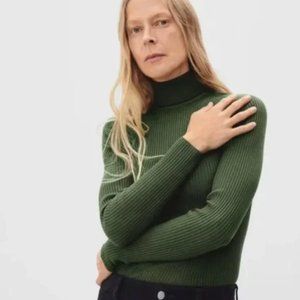 Everlane The Italian Merino Rib Turtleneck Size S